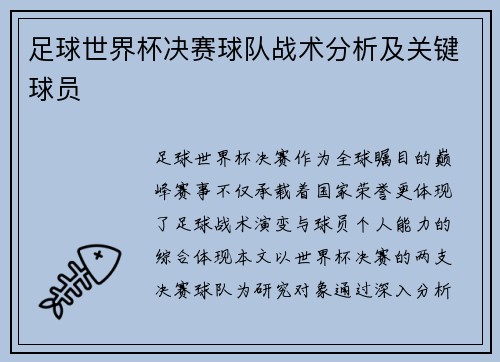 足球世界杯决赛球队战术分析及关键球员